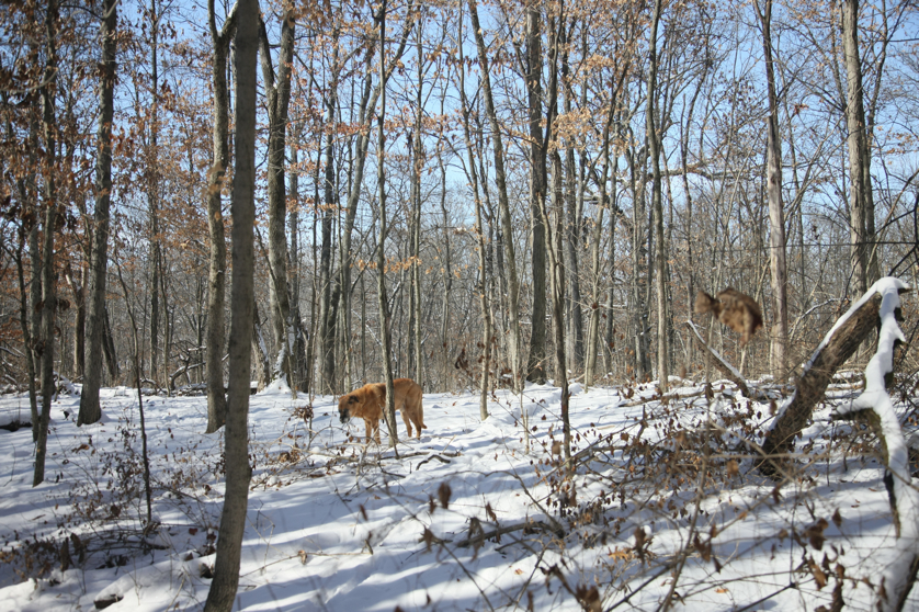 Full Size Image = 6748 K