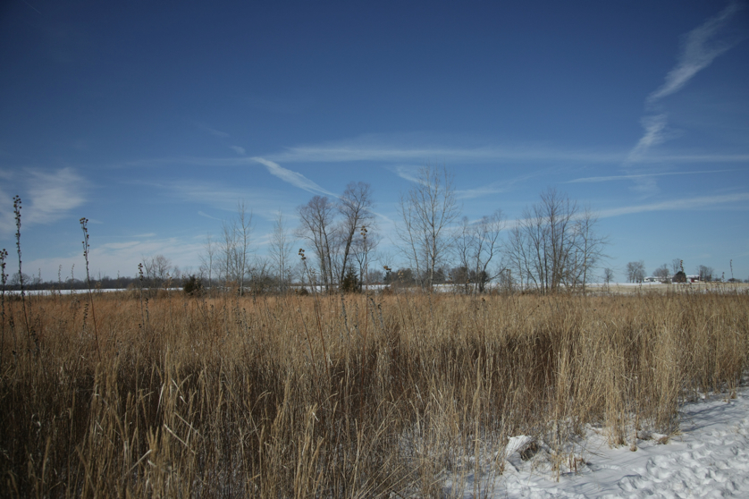 Full Size Image = 4259 K