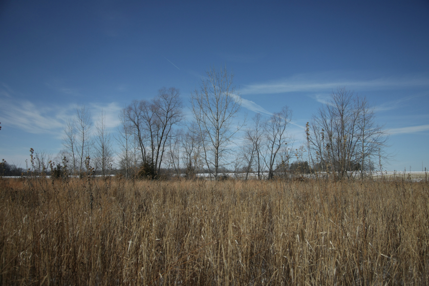 Full Size Image = 4600 K