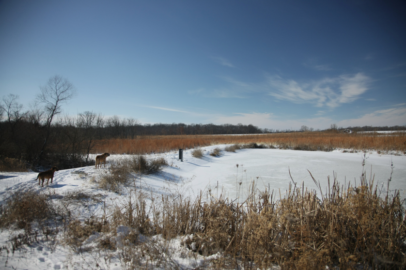 Full Size Image = 3491 K