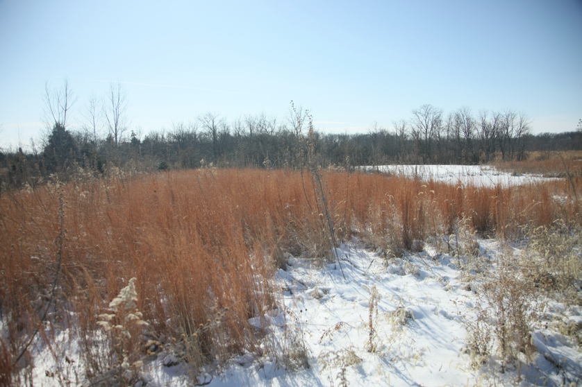 Full Size Image = 4078 K