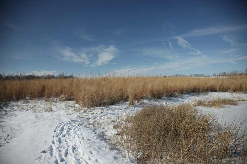 Full Size Image = 4281 K