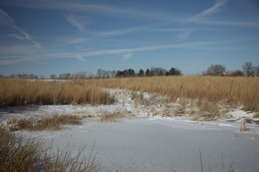 Full Size Image = 3708 K