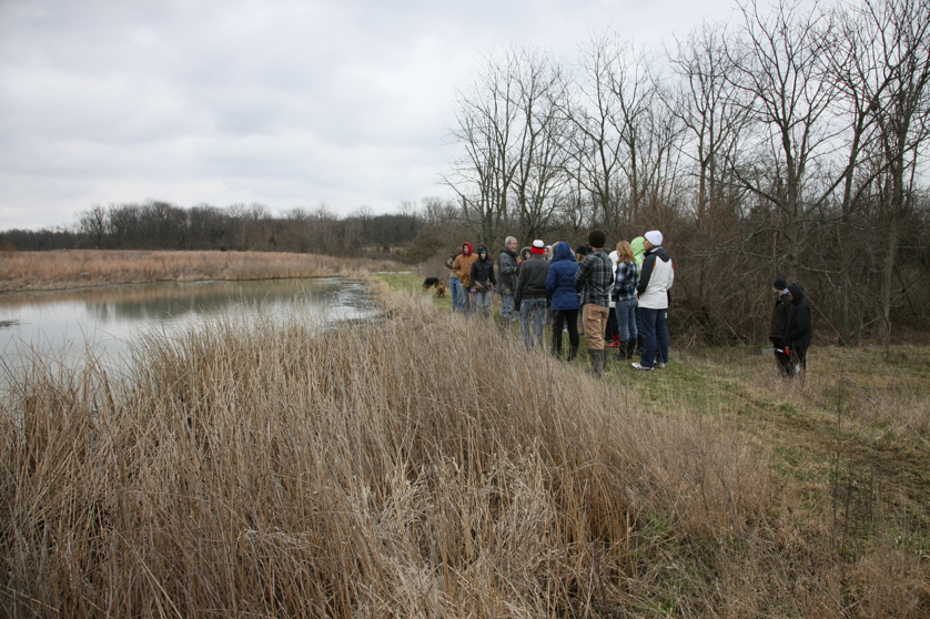 Full Size Image = 5804 K