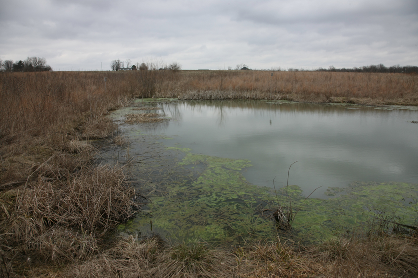 Full Size Image = 4525 K