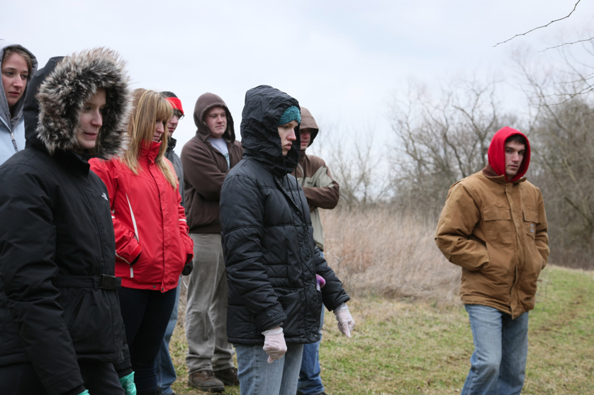 Full Size Image = 3213 K