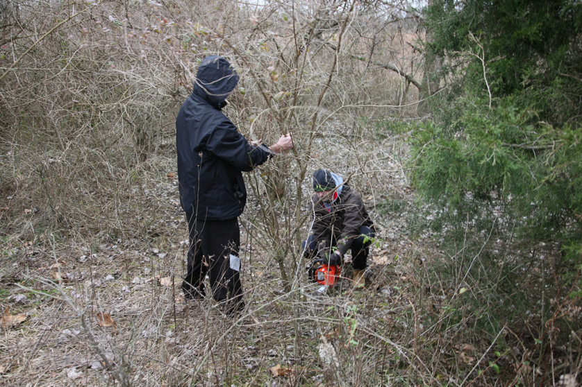 Full Size Image = 6273 K