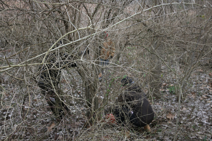 Full Size Image = 4897 K