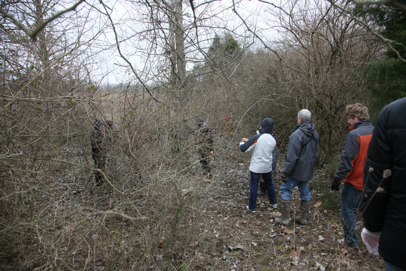 Full Size Image = 7223 K