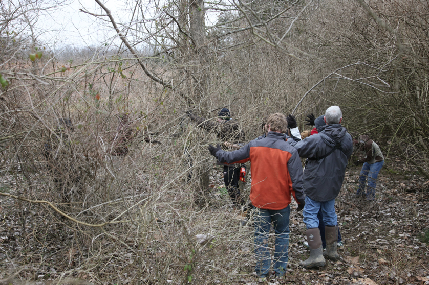 Full Size Image = 6556 K