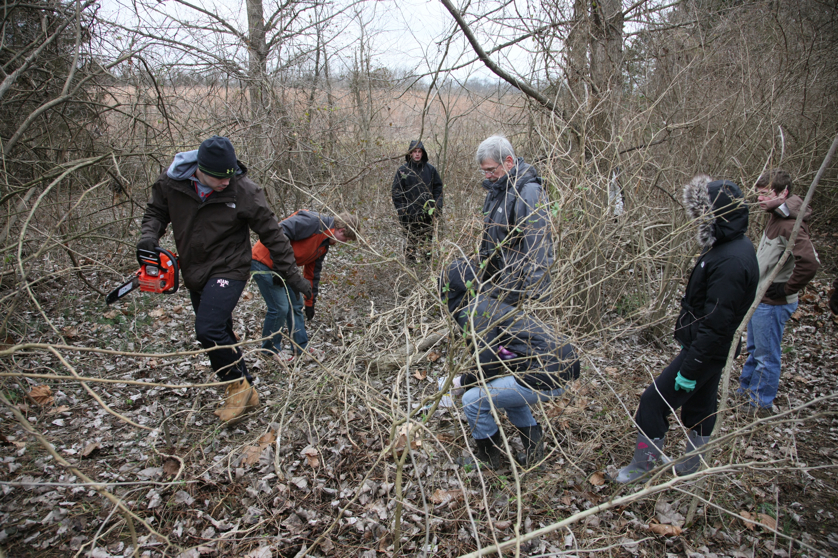 Full Size Image = 7027 K