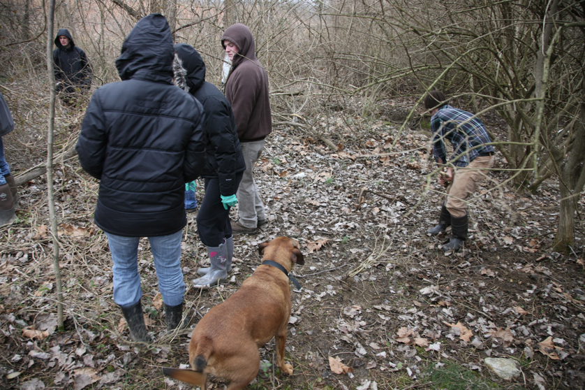 Full Size Image = 5743 K