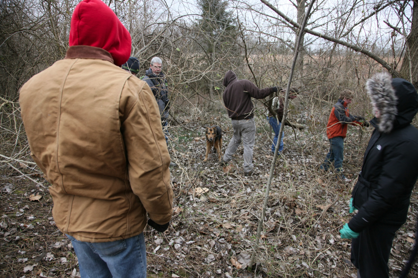 Full Size Image = 5655 K