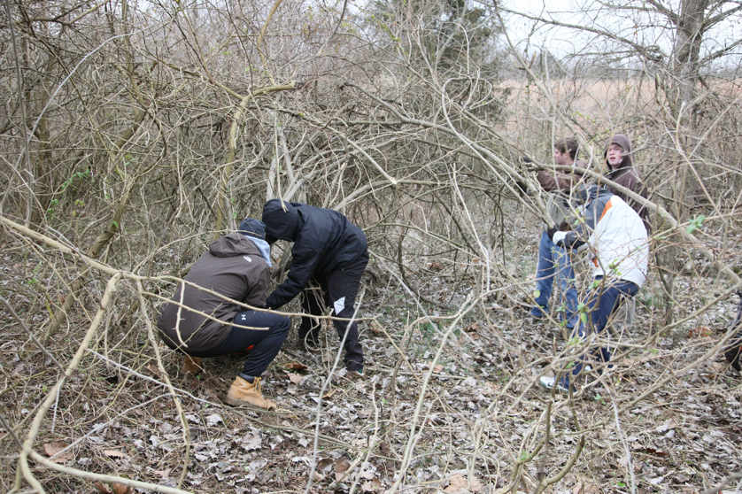 Full Size Image = 6832 K