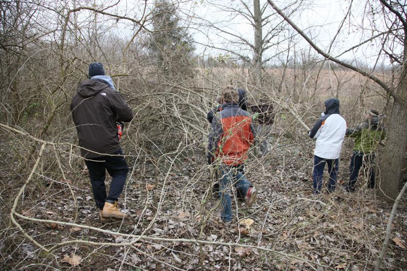 Full Size Image = 7063 K