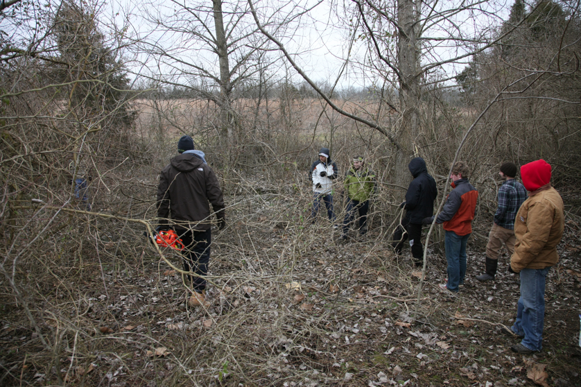 Full Size Image = 7159 K