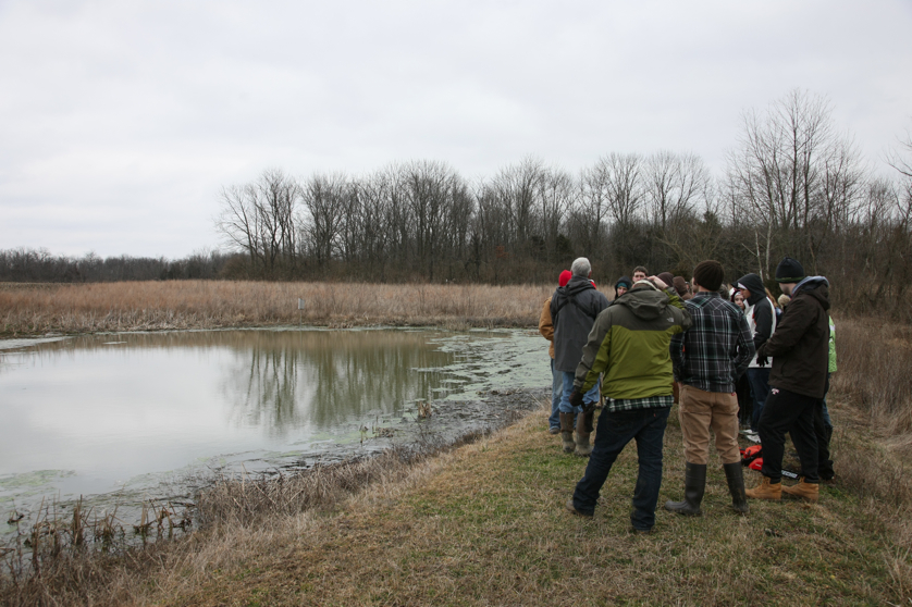 Full Size Image = 4638 K