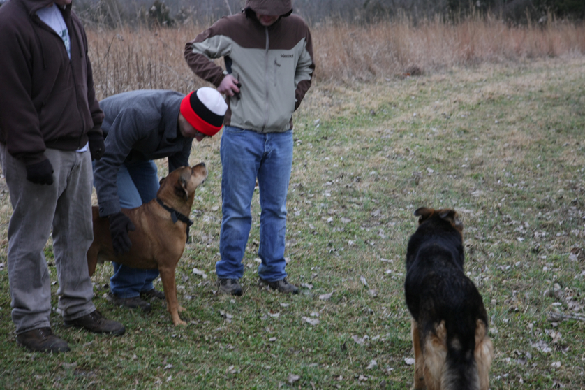 Full Size Image = 4033 K