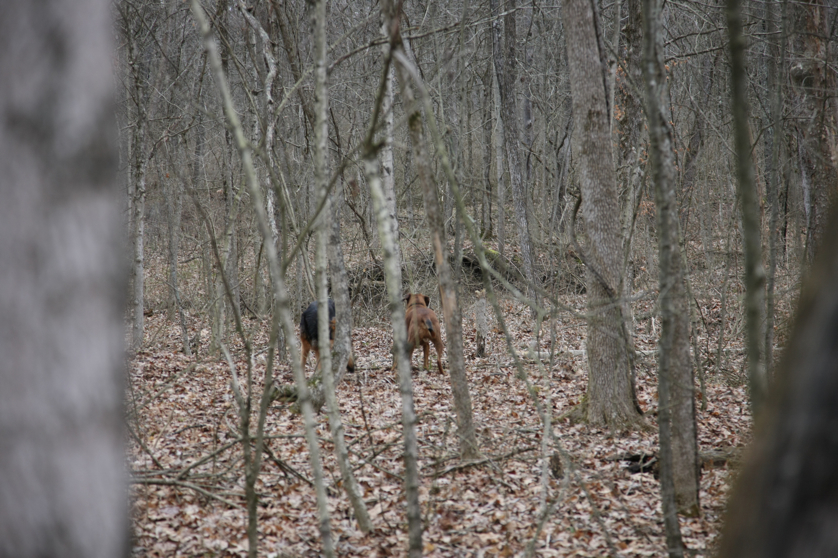 Full Size Image = 4639 K