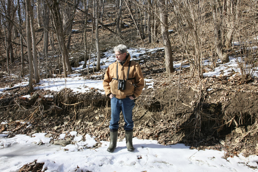 Full Size Image = 6857 K