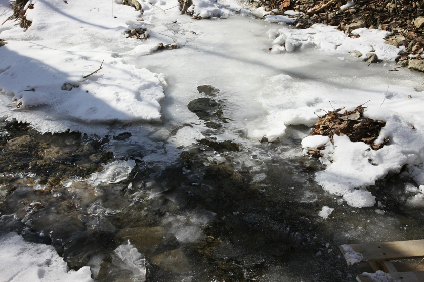 Full Size Image = 4509 K