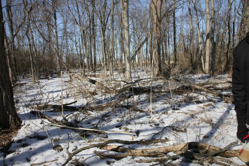 Full Size Image = 6753 K