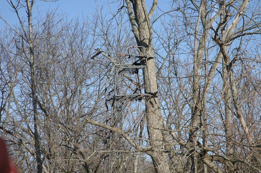 Full Size Image = 7697 K