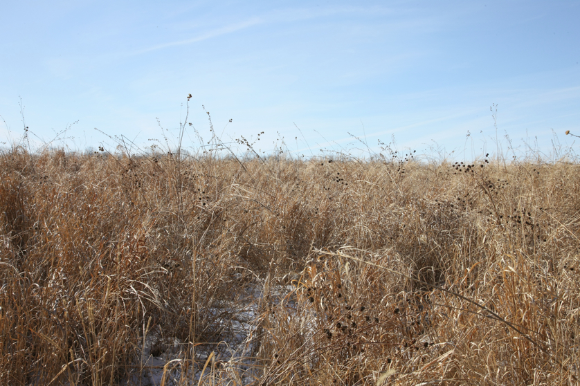 Full Size Image = 5866 K