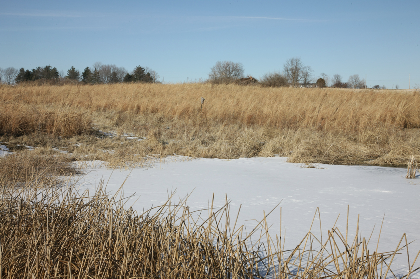 Full Size Image = 5036 K