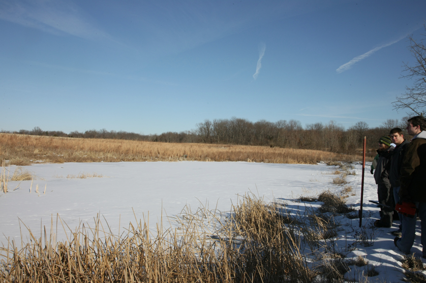 Full Size Image = 4012 K