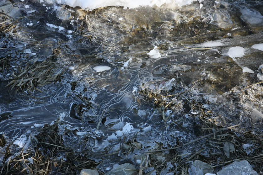 Full Size Image = 5788 K