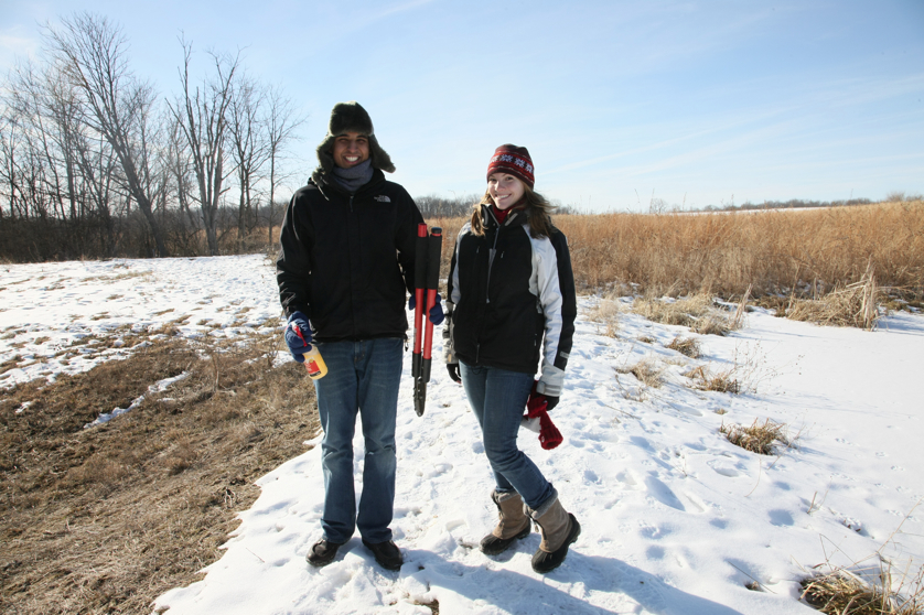 Full Size Image = 4941 K