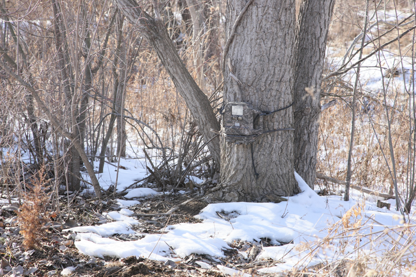 Full Size Image = 6243 K