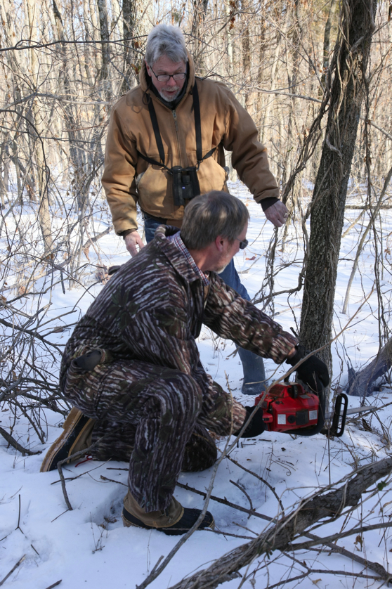 Full Size Image = 4685 K