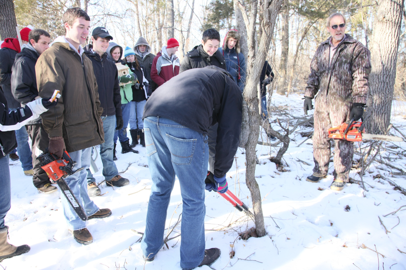 Full Size Image = 4759 K