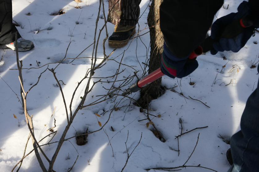 Full Size Image = 3361 K