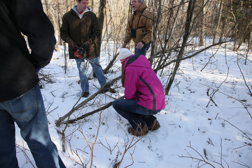 Full Size Image = 4708 K