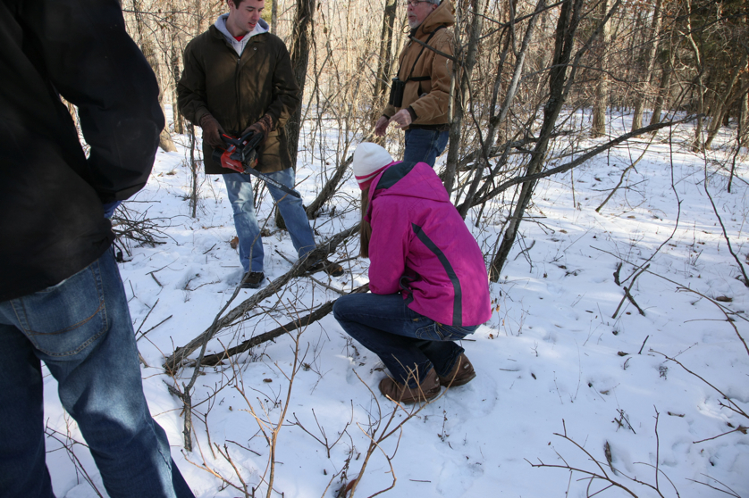 Full Size Image = 4691 K