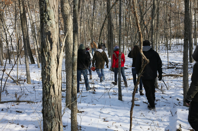 Full Size Image = 5743 K