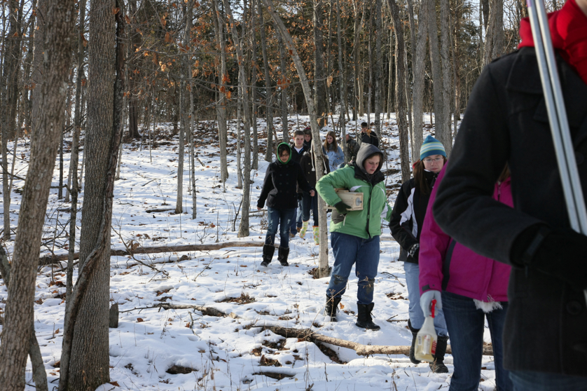 Full Size Image = 5151 K