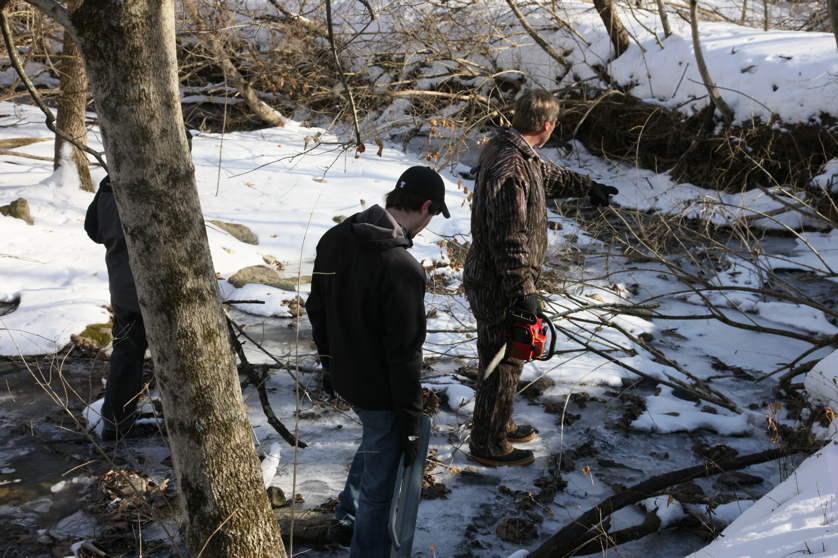 Full Size Image = 4387 K