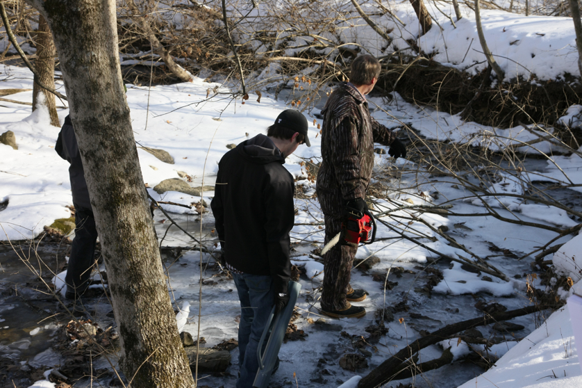 Full Size Image = 4414 K