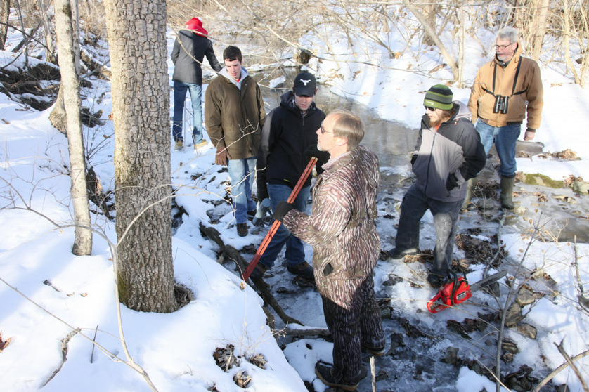 Full Size Image = 5195 K