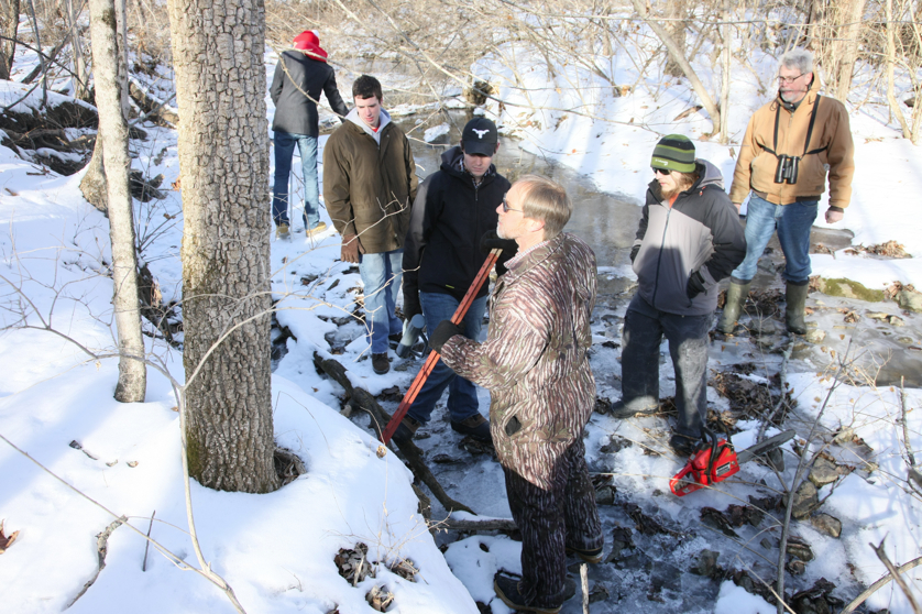 Full Size Image = 5269 K