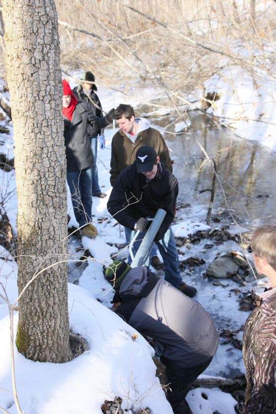 Full Size Image = 3878 K