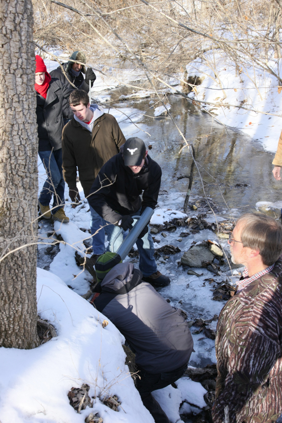 Full Size Image = 4274 K