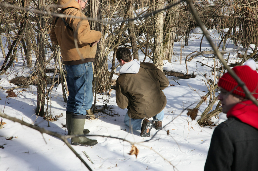 Full Size Image = 4934 K