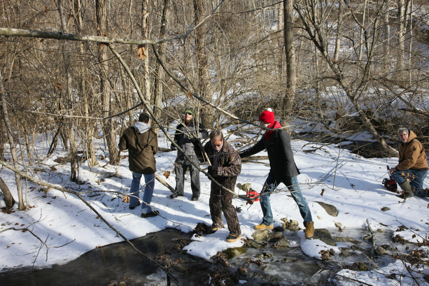 Full Size Image = 6206 K