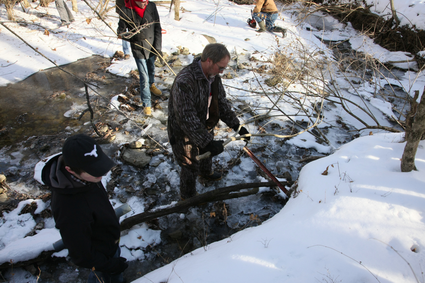 Full Size Image = 4865 K