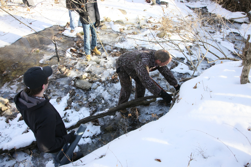 Full Size Image = 4730 K